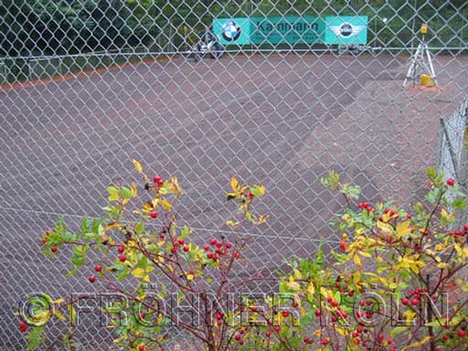Foto eines Zauns, Tennisplatzbau-Zaunbau